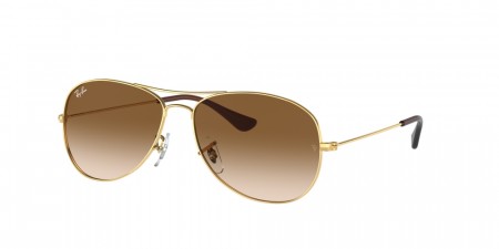Ray Ban Cockpit, rb3362, xl